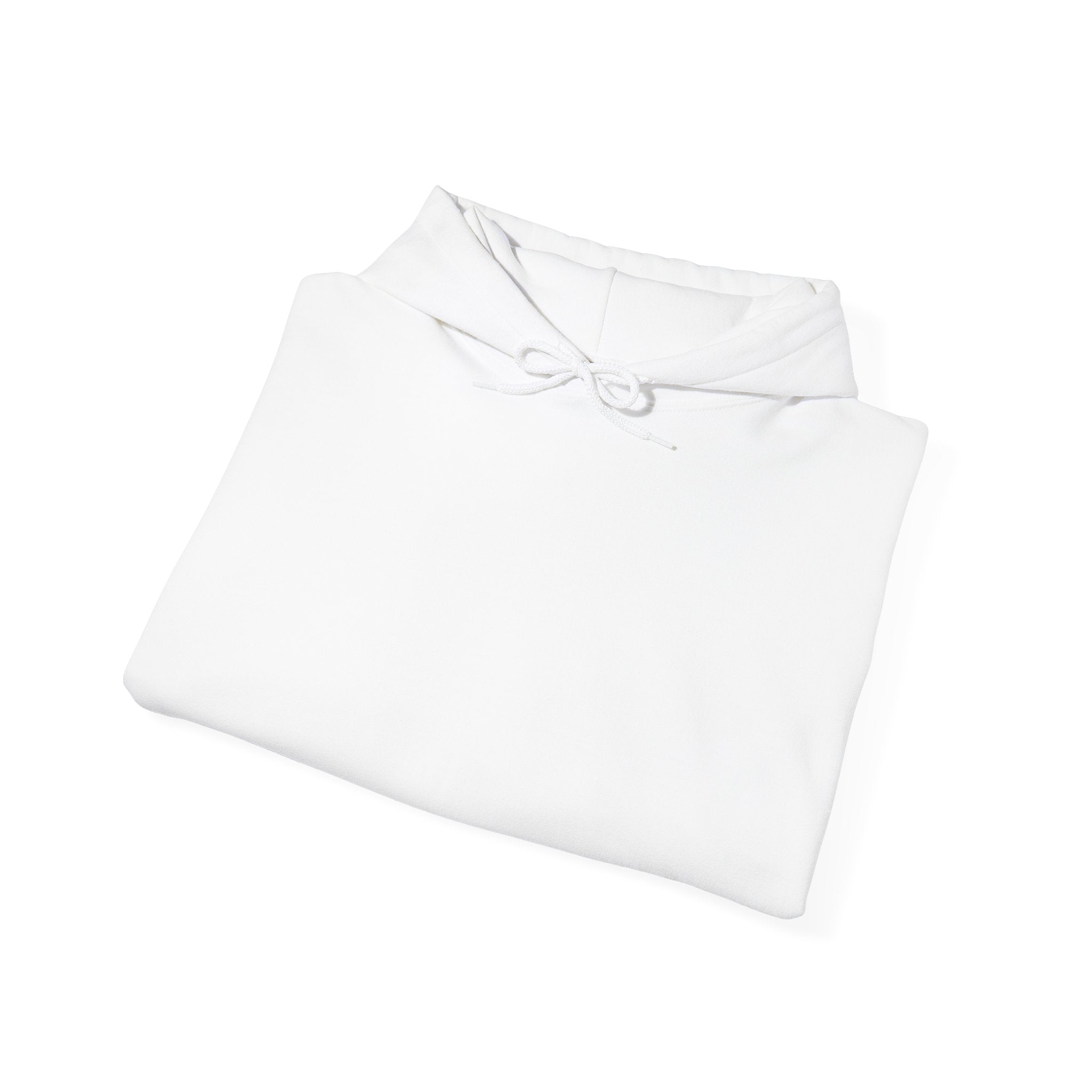 Hoodie — "Agile taught me how to PANIC faster" Back-Print Funny Tech Sweatshirt